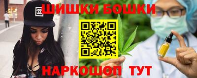 прущие грибы Новодвинск
