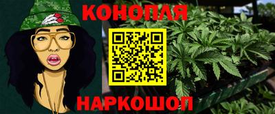 прущие грибы Новодвинск