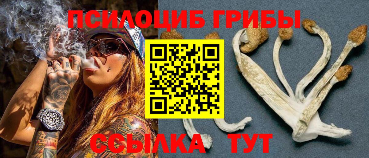 Псилоцибиновые грибы GOLDEN TEACHER  Вход с VPN  где найти   Тихвин 