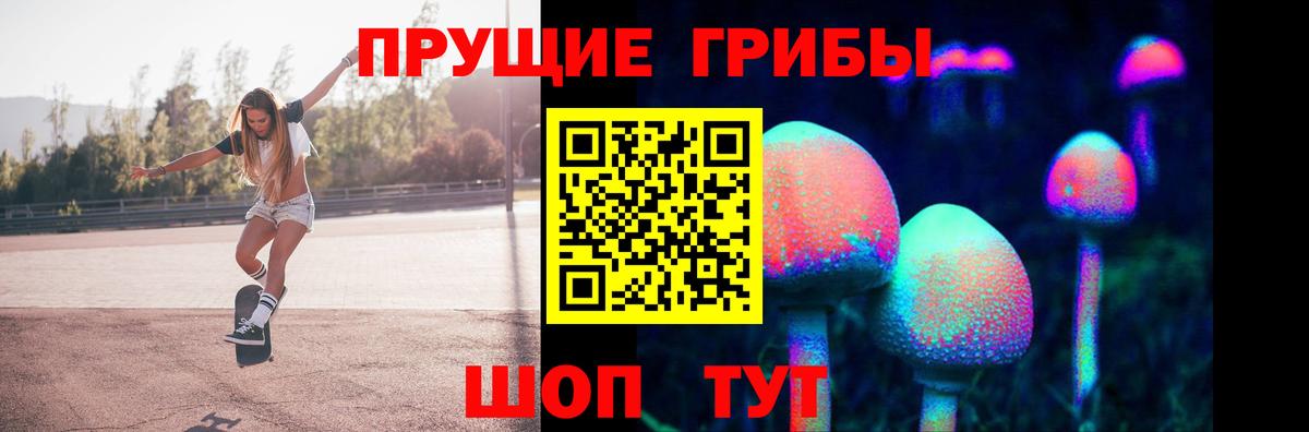 Псилоцибиновые грибы мицелий Тихвин